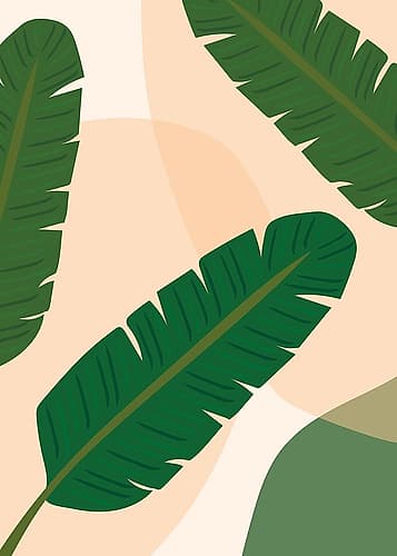 Banana Leaf Art Print by Jasmine Hollie