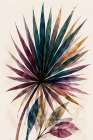 Jewel Tone Botanicals 7 Art Deco Print