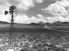 Field Of Winds 1 Art Print