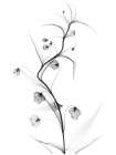 White Globe Lily Art Print