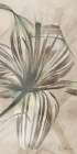 Tranquil Flowering 3 Art Deco Print