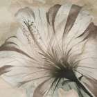 Evolving Flourish 1 Art Print