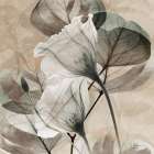 Maturing Florals 1 Minimalist Print