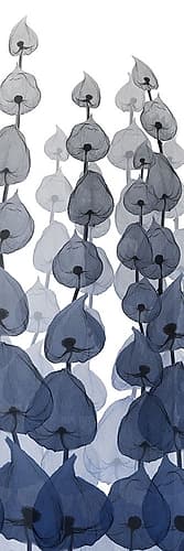Sapphire Blooms On White 4 Art Print