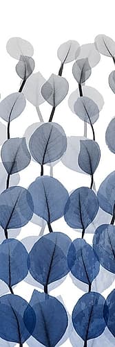 Sapphire Blooms On White 1 Art Print