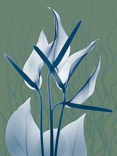 Blue Sage Dawn 2 Decorative Print
