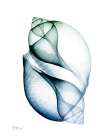 Crystal Breeze 1 Art Print