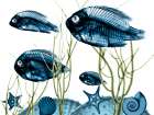 Aquatic Home 2 Art Print