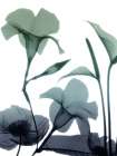 Mystic Bloom 1 Art Print