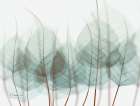 Unfocused Divergent 2 Botanical Print