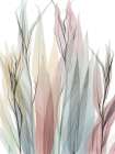 Neutral Degrees Botanical Print