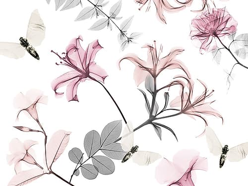 Sweet Nectar 3 Art Print
