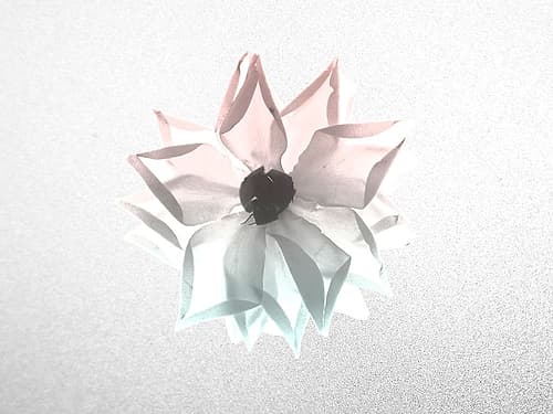 Rose Living 1 Art Print
