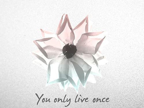 You Only Live Once Rose Art Print