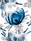 Invigorating Beauty 2 Art Print