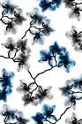 Peeking Foliage 5 Art Print
