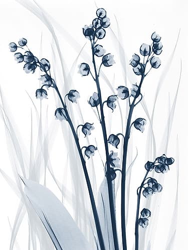 Radiant Blues 1 Art Print
