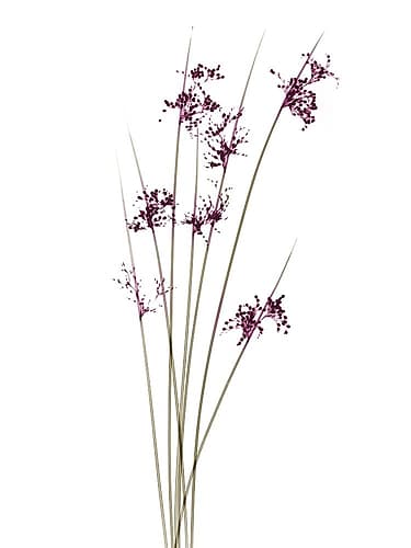Spring Reachers Art Print