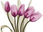 Vibrant Marching Tulips Art Print