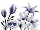 Automatic Dusk Bloom 3 Art Print