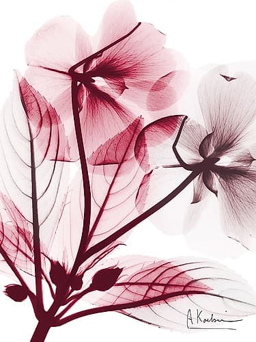 Brilliant Impatience Art Print