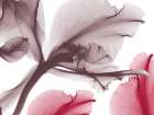 Luminescent Poetry 2 Art Print