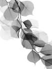 Price Of Reflection 2 Black & White Print