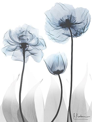 Diligent Blue Drama 1 Art Print