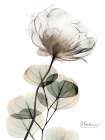 Creamy Floral Dynasty 1 Art Print