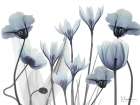 Floral Desires 1 Art Print