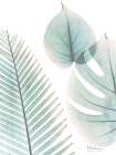 Lively Botanicals 1 Minimalist Print