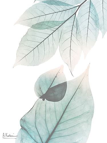 Lively Botanicals 2 Art Print