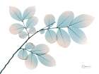 Retro Myrtle Tree Art Print