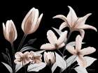 Automatic Mocha Bloom 2 Art Print