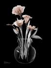 Thundering Mocha Bloom 2 Art Print