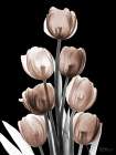Delightful Mocha Tulips 1 V2 Art Print