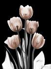 Delightful Mocha Tulips 2 V2 Art Print