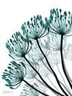 Teal Floral Fan 1 Art Print
