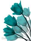Teal Tulip Fan 2 Art Print