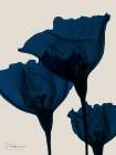 Indigo Blooms 1 Art Print