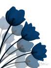 Indigo Tulip Fan 1 Art Print