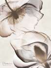 Flowers Of Purpose 1 Art Print