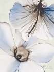 Flowers Of Blue Hue 1 Art Print