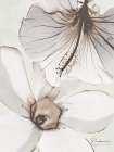 Flowers Of Purpose 2 Art Print