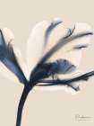Divine Floral 1 Art Print