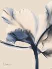 Divine Floral 2 Art Print