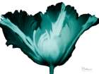 Teal Blossom 1 Art Print