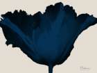 Indigo Blossom 1 Art Print