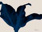 Indigo Blossom 2 Art Print