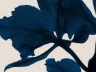 Indigo Blossom 3 Art Print